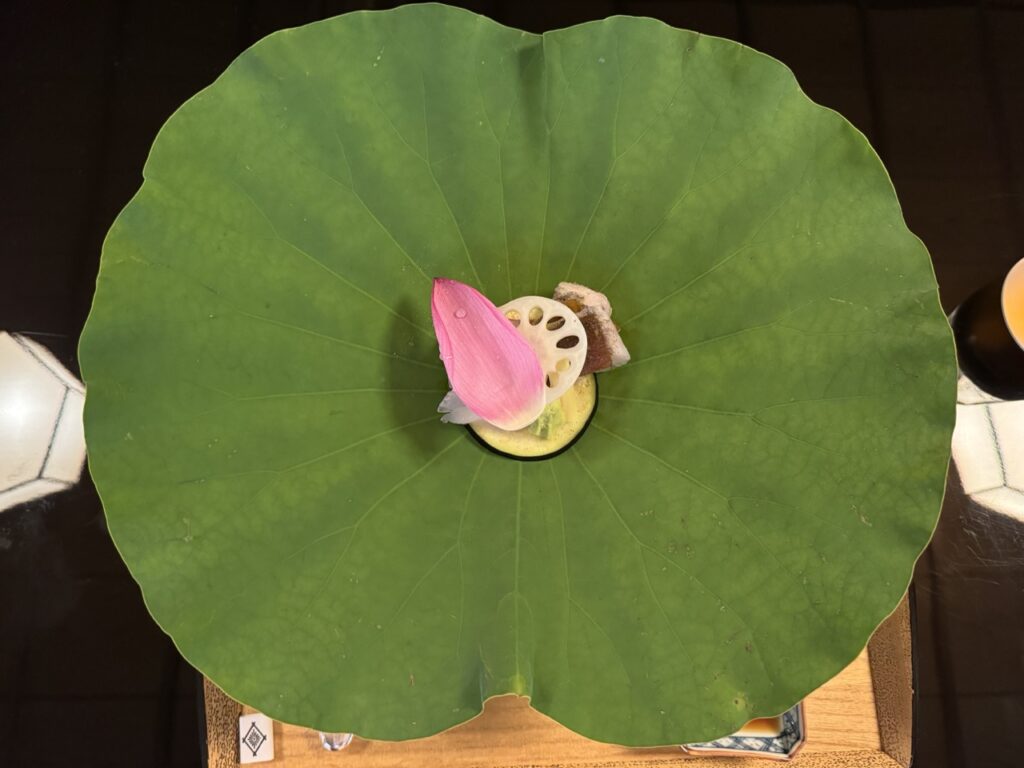 ハス 画像