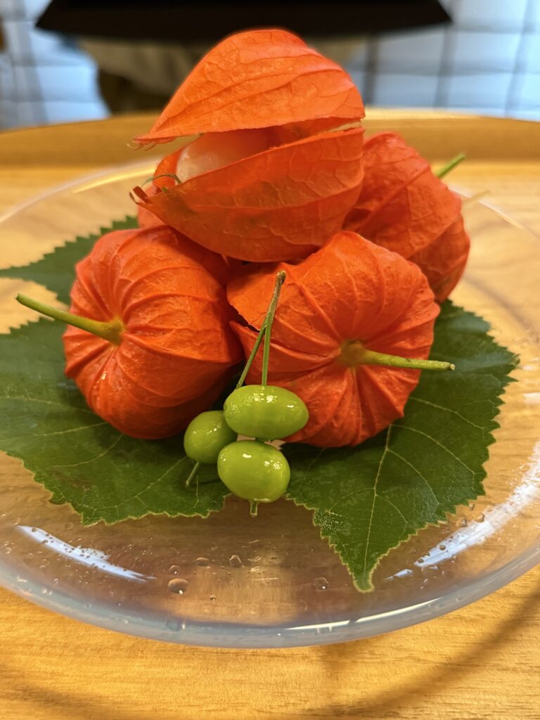 画像　ほおずき１